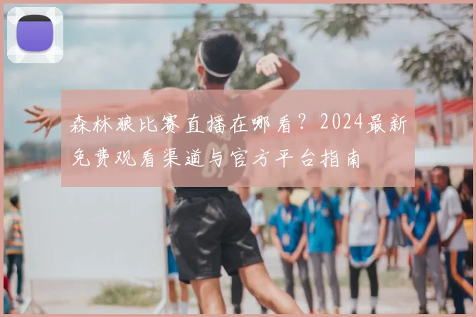 森林狼比赛直播在哪看?2024最新免费观看渠道与官方平台指南