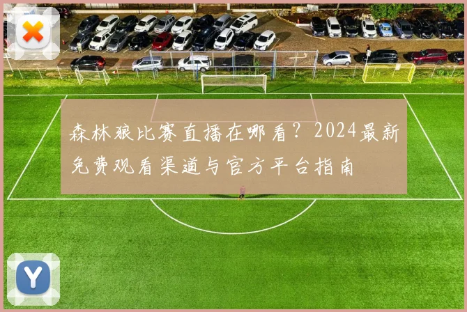 森林狼比赛直播在哪看？2024最新免费观看渠道与官方平台指南